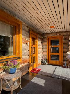 Cabin bear's hide - 1