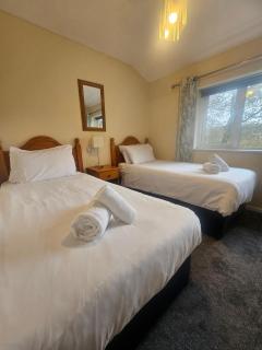 Newquay Coast and Cabin - 4