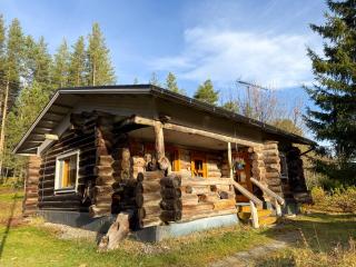 Cabin bear's hide - 9