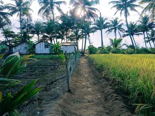 Sukhi Beach Cottage - 4