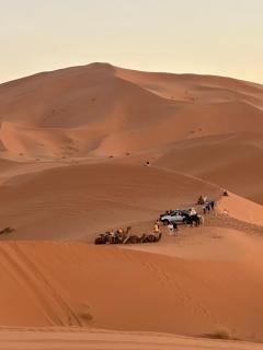 Luxury Trip Camp - 0