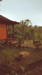 Bareng Homestay Tetebatu - 8