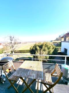 Découvrez la route des vins et les marchés de Noël - 5