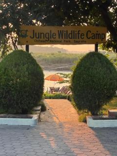 Jungle Wildlife Camp - 4