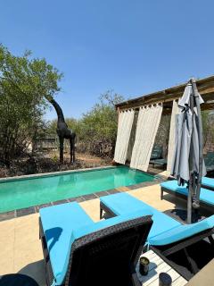 Lindiwe Safari Lodge - 9
