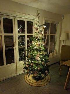 Svært nydelig fritidshytte - 2