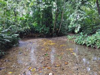 Posada Nativa sol y mar - 1