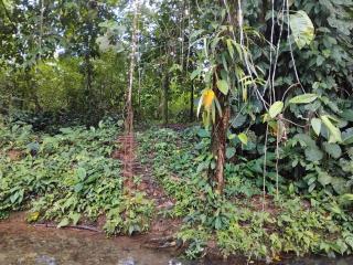 Posada Nativa sol y mar - 2