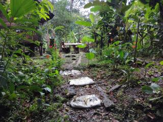 Posada Nativa sol y mar - 4