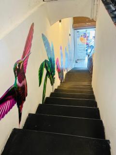 A&T Amazon Backpackers - 1