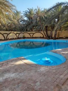 Siwa Safari Paradise Hotel - 2