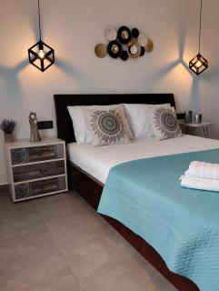 Villa Alexandra studios - 7