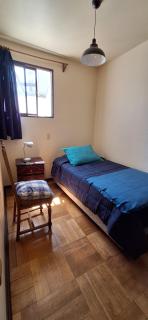 Amplio departamento en Plaza Italia a pasos de metro Baquedano y frente al Parque Forestal - 2