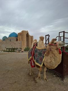 Turkistan apart Hotel ближе Караван сарая - 3