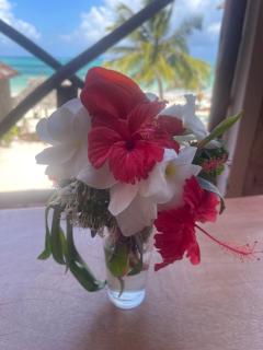 Zanzibar beach escape 1&2 - 8