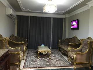 شارع الزهور فيصل الجيزه - 0