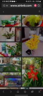 Yokel View Villa - 4