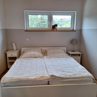 Ferienwohnung Hügelhaus Fürstenberg - 2