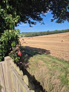 Kent Cosy Cottage - 1