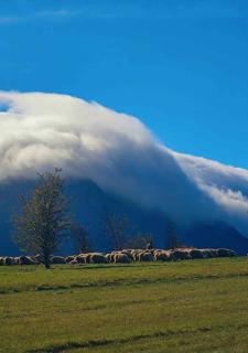 Widokowy Zakątek u Kamila - 9