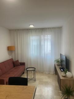 Palmera Azul - 5