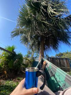 Cabana da palmeira - 4