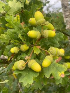 Meagill Corner Farm, barn with hot tub - 2