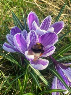 Meagill Corner Farm, barn with hot tub - 1