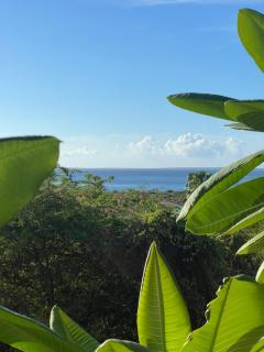 Le jardin de friars bay - 8