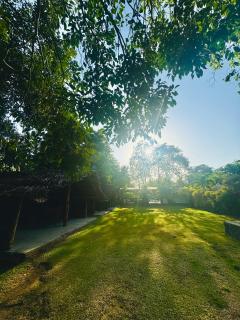 Nature park hotel - 5