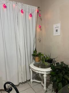 Casitapp punto com punto mx - 5