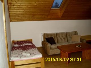 Apartmány nad Otavou - Zvíkovské Podhradí - 2