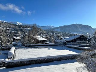 Séjour lumineux avec vue sur les cimes - 2