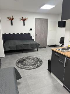 Ruhige Apartments an der Donau - 1