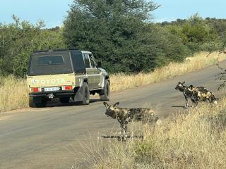 EliteTravelGuides Tent Hire Pick up OR TAMBO INTERNATIONAL - 9