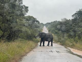 EliteTravelGuides Tent Hire Pick up OR TAMBO INTERNATIONAL - 6