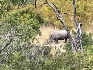 EliteTravelGuides Tent Hire Pick up OR TAMBO INTERNATIONAL - 1