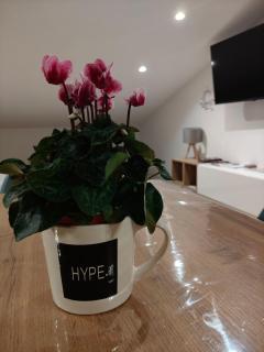 Terrazza Sole e Stelle - 7