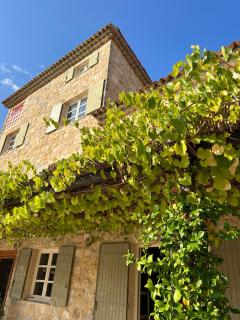Domaine De La Chapelle - Lorgues - 7