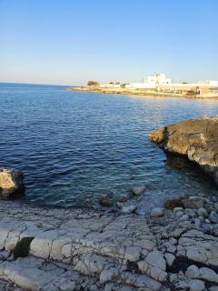 Dany's Home Venus - 8