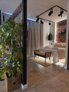 Loft los carmenes - 6