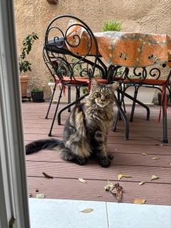 Studio jardin 5 mn plage Monaco Air Conditioner - 5