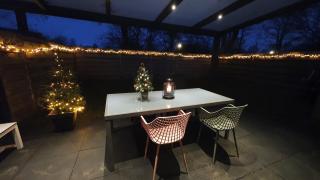 Luxe vakantiebungalow met omheinde tuin voor hond en kinderen - 7