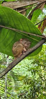 Casa Rosalia - Comfort of Home - 5