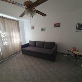 Apartament 2 camere proaspat renovat - 5