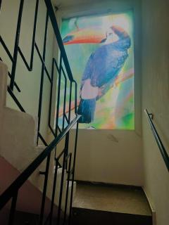 Exclusive Seasonal House for COP 30 Luxury for groups of 6 people - 4