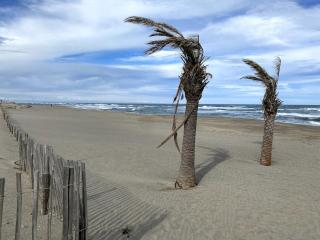 T2 vue mer Première ligne - 6