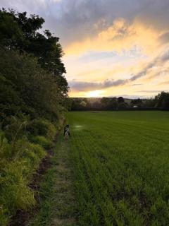 Friar's Rest - Beauly Village - 5