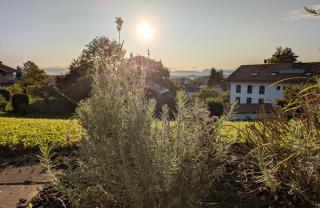 Ferienwohnung EG mit Bergblick - 5