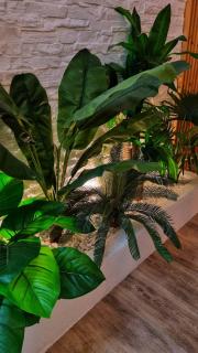 Apartment mitten in Rosenheim - 2